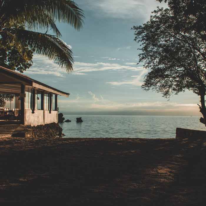 beach home sunset sky palm trees contemporary beach home