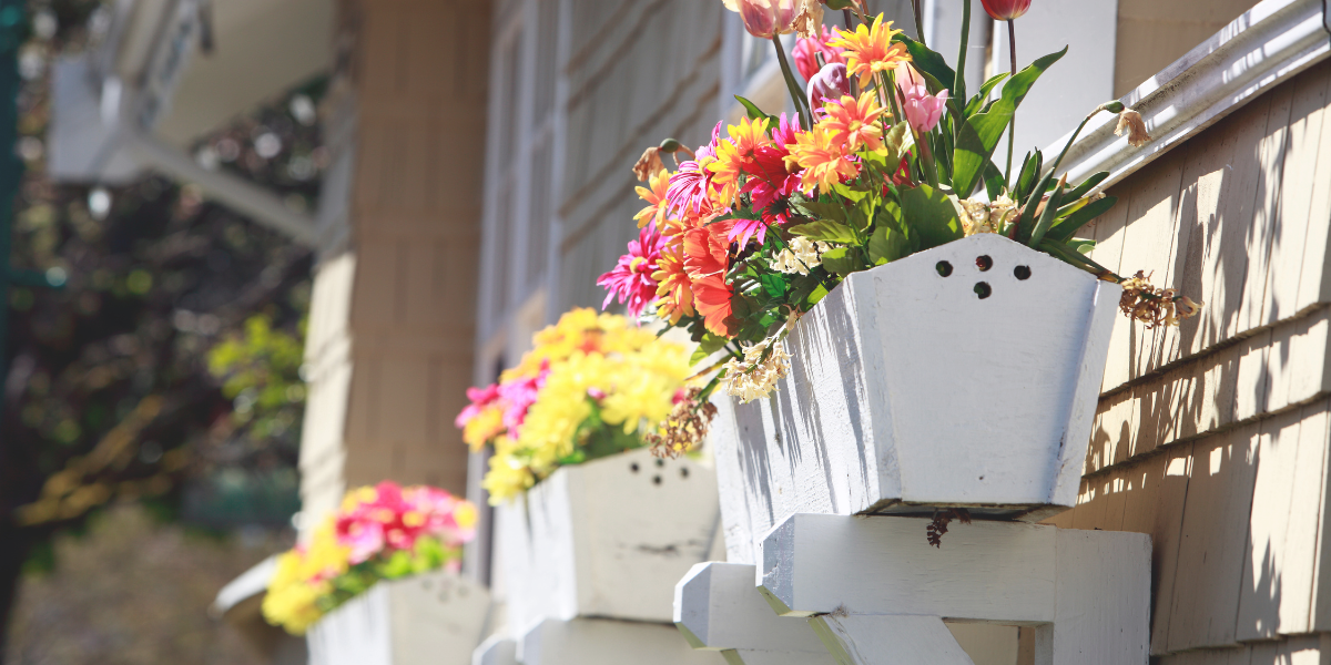 "Close-up of white wooden flower boxes mounted on the exterior of a house, filled with vibrant spring flowers including tulips, daisies, and other colorful blooms in shades of pink, yellow, and orange, basking in bright sunlight."