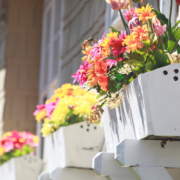 "Close-up of white wooden flower boxes mounted on the exterior of a house, filled with vibrant spring flowers including tulips, daisies, and other colorful blooms in shades of pink, yellow, and orange, basking in bright sunlight."