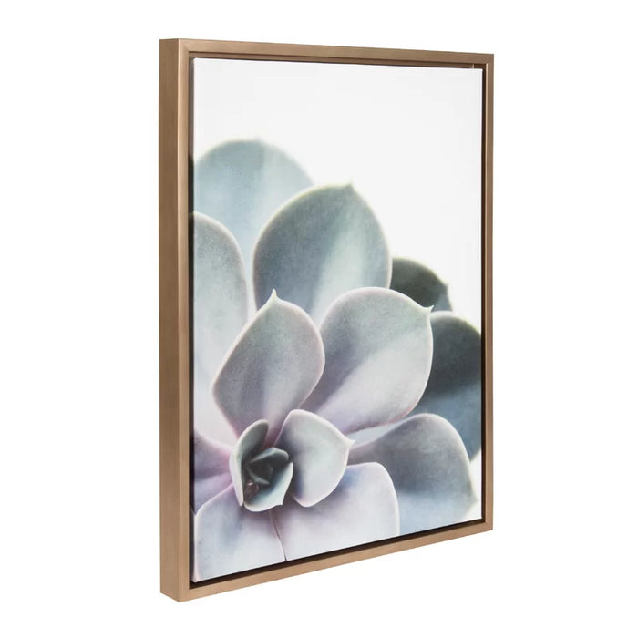 Sylvie Gold Succelent 5 by Emiko and Mark Franzen - Picture Frame Photograph Print on Canvas