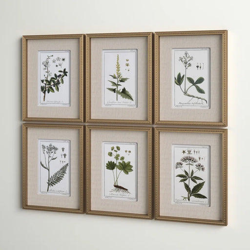 Botanical Study' - 6 Piece Picture Frame Graphic Art Print Set on Paper