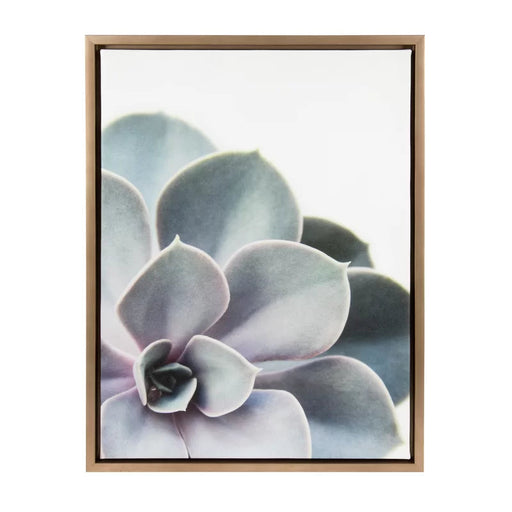 Sylvie Gold Succelent 5 by Emiko and Mark Franzen - Picture Frame Photograph Print on Canvas