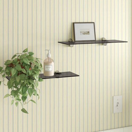 Haag 2 Piece Glass Floating Shelf