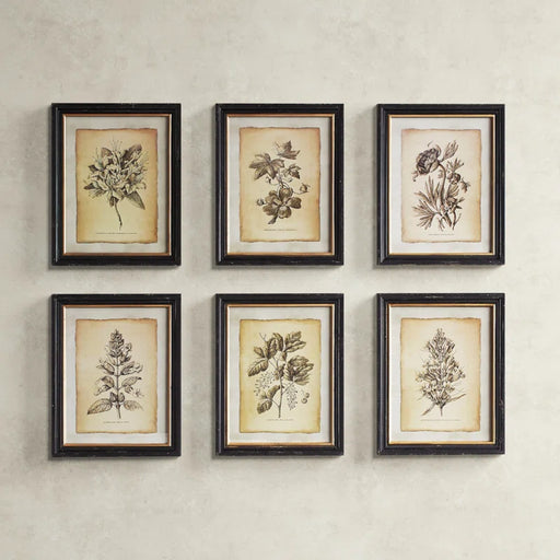 " Antiqued Stems " 6 - Pieces on Paper