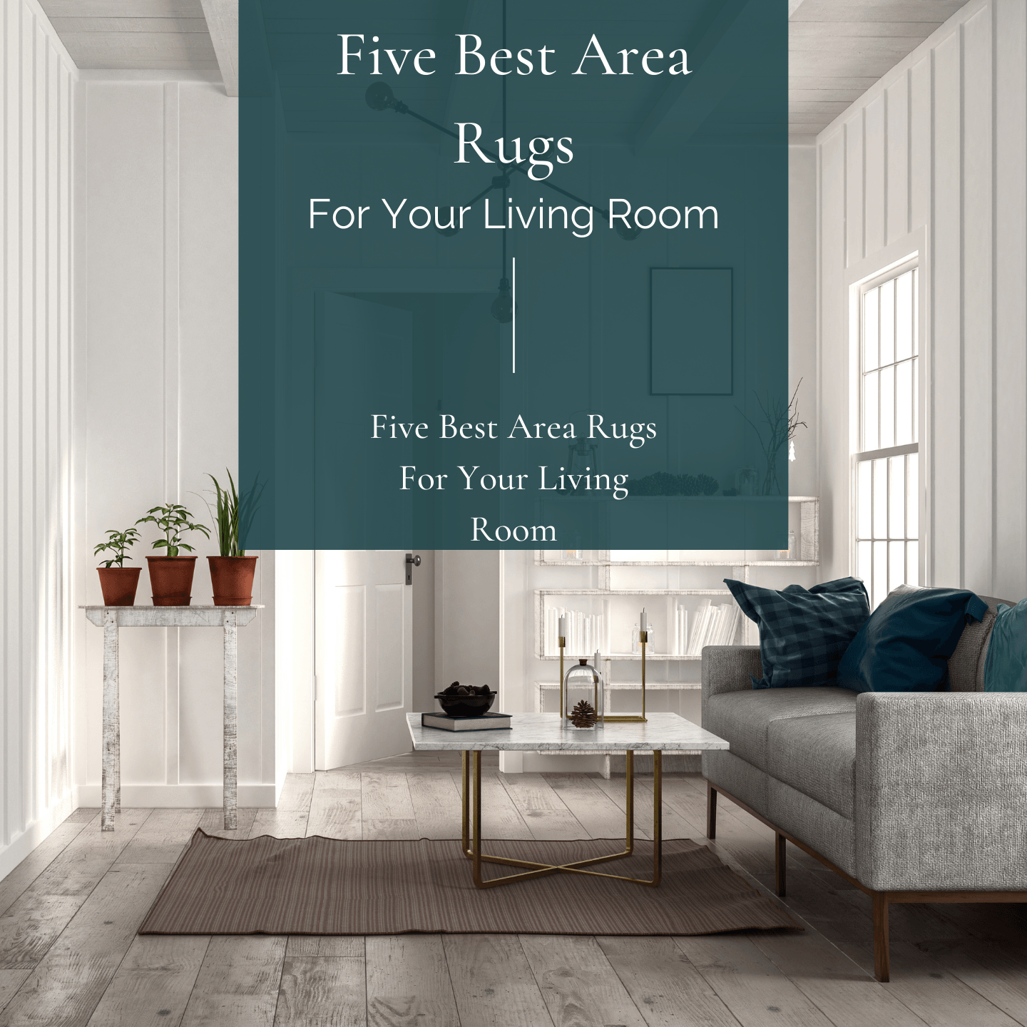 five best area rugs for your living room decor home decor galore blog