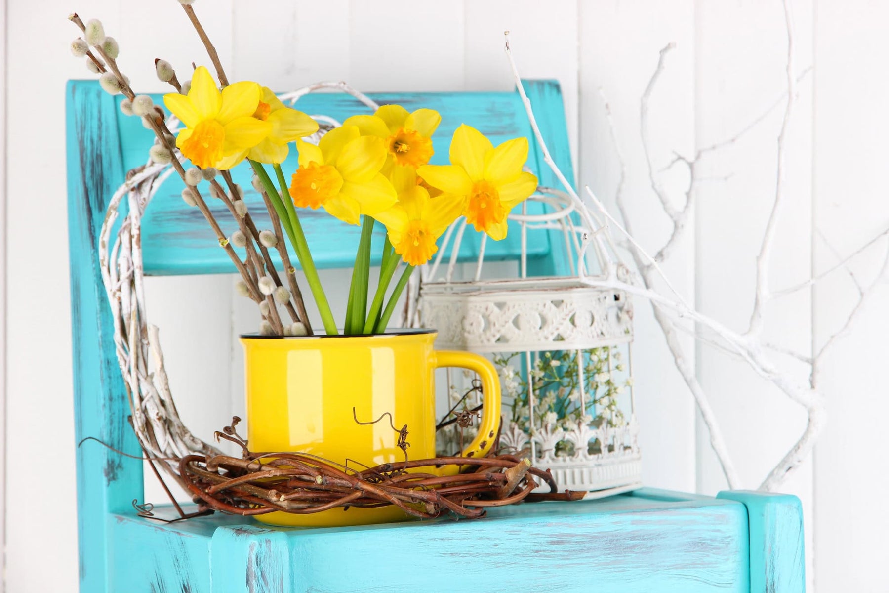 yellow flowers in a yellow cup on top of a light blue chair