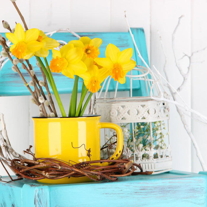yellow flowers in a yellow cup on top of a light blue chair