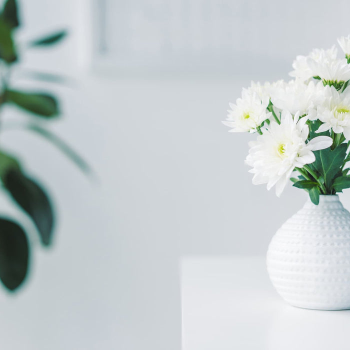 white flowers in a white vase