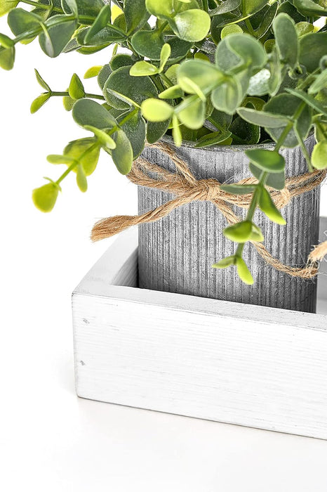 Decorative Eucalyptus Planter Set with Wooden Tray for Farmhouse Home Decor