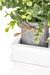 Decorative Eucalyptus Planter Set with Wooden Tray for Farmhouse Home Decor