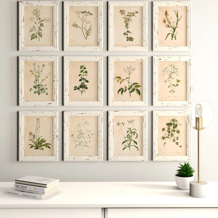 Wild Flower Botanical - 12 Piece Picture Frame Print Set on Paper