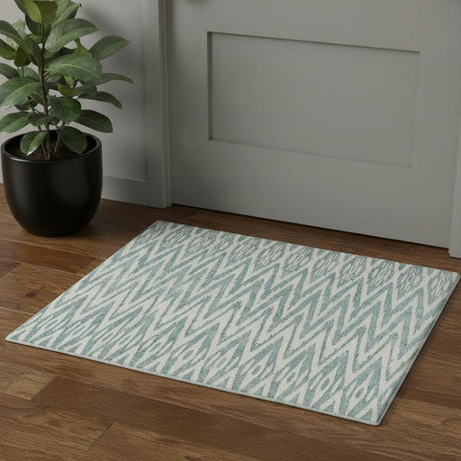Patterned rug on a wooden floor with a plant and door in the background