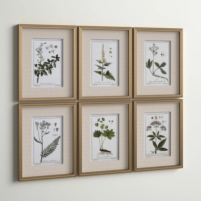 Botanical Study' - 6 Piece Picture Frame Graphic Art Print Set on Paper