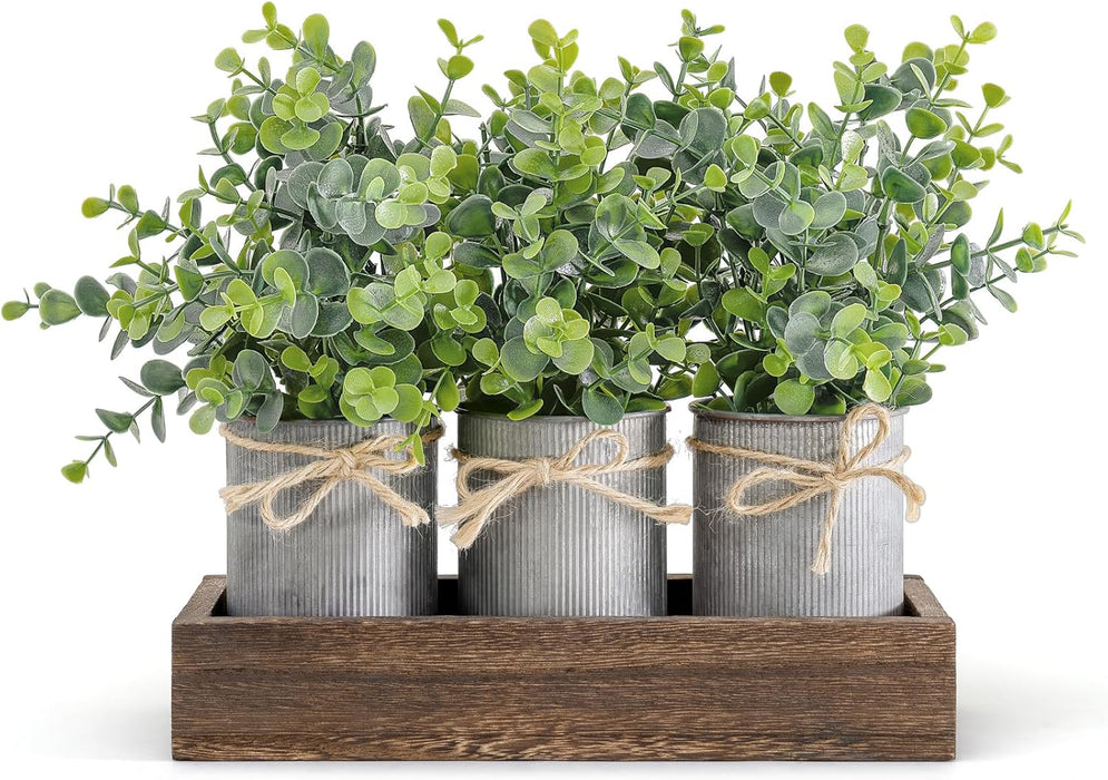 Decorative Eucalyptus Planter Set with Wooden Tray for Farmhouse Home Decor