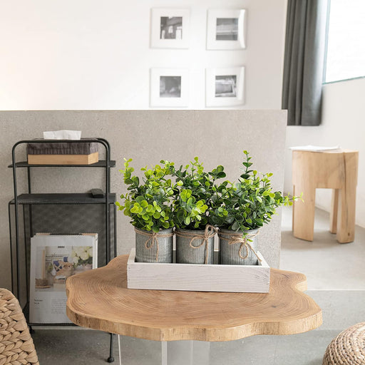 Decorative Eucalyptus Planter Set with Wooden Tray for Farmhouse Home Decor
