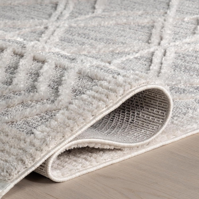 Contemporary Trellis Shag Rug, Soft Polyester Area Rug for Home Décor