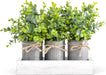 Decorative Eucalyptus Planter Set with Wooden Tray for Farmhouse Home Decor