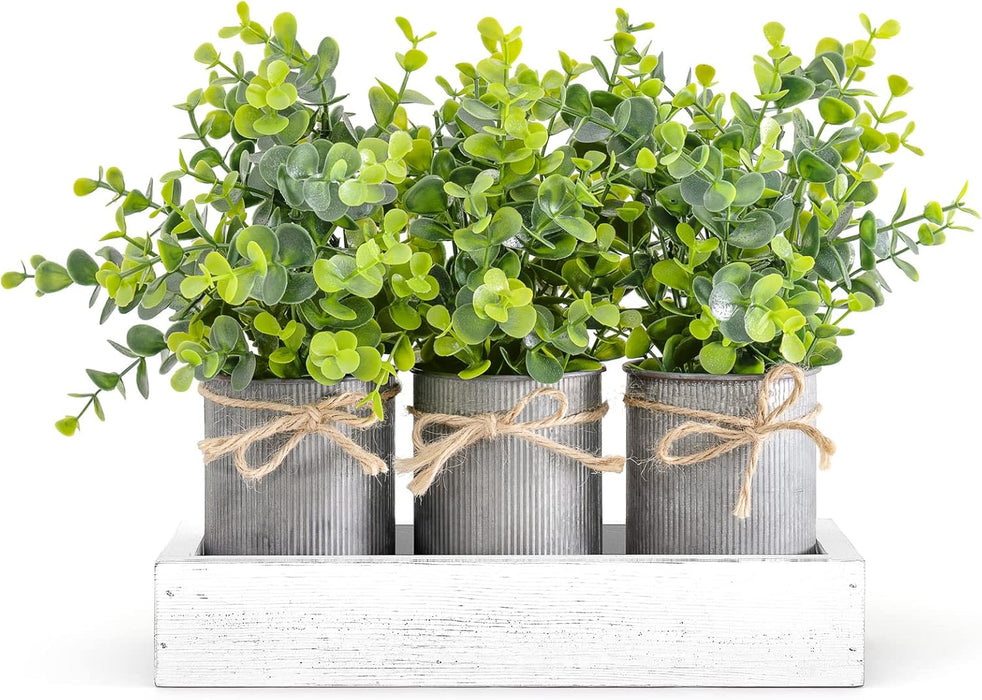 Decorative Eucalyptus Planter Set with Wooden Tray for Farmhouse Home Decor